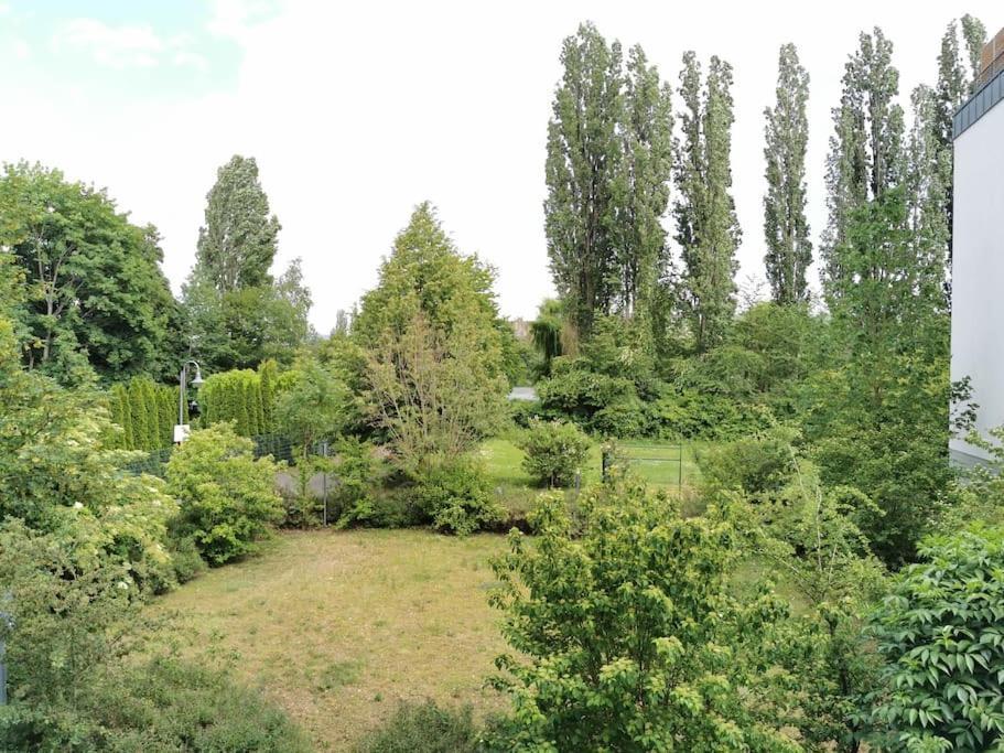 Schoene Und Ruhige Wohnung Direkt An Der Mosel Koblenz  Eksteriør billede